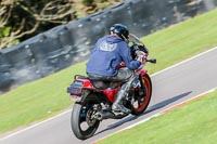 Oulton-Park-20th-March-2020;PJ-Motorsport-Photography-2020;anglesey;brands-hatch;cadwell-park;croft;donington-park;enduro-digital-images;event-digital-images;eventdigitalimages;mallory;no-limits;oulton-park;peter-wileman-photography;racing-digital-images;silverstone;snetterton;trackday-digital-images;trackday-photos;vmcc-banbury-run;welsh-2-day-enduro